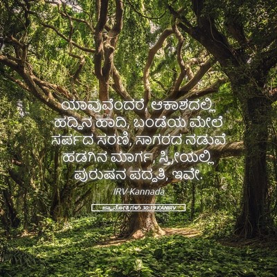 Picture 05 - ಜ್ಞಾನೋಕ್ತಿಗಳು 30:19 KANIRV - ಯಾವುವೆಂದರೆ, - Bible Verse Picture