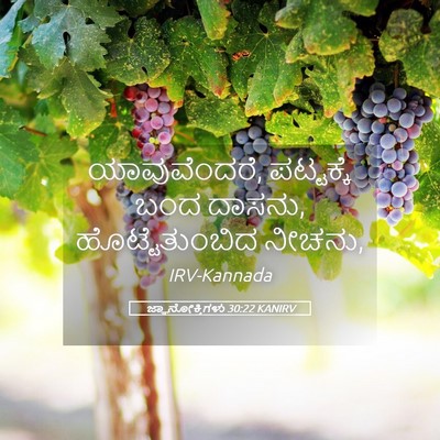 Picture 05 - ಜ್ಞಾನೋಕ್ತಿಗಳು 30:22 KANIRV - ಯಾವುವೆಂದರೆ, - Bible Verse Picture
