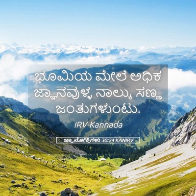 Picture 05 - ಜ್ಞಾನೋಕ್ತಿಗಳು 30:24 KANIRV - ಭೂಮಿಯ ಮೇಲೆ ಅಧಿಕ - Bible Verse Picture