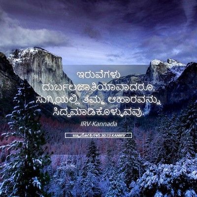 Picture 05 - ಜ್ಞಾನೋಕ್ತಿಗಳು 30:25 KANIRV - ಇರುವೆಗಳು - Bible Verse Picture