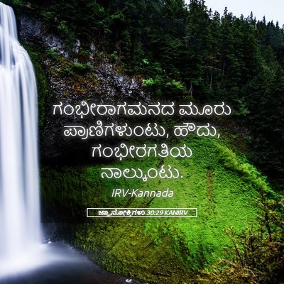 Picture 05 - ಜ್ಞಾನೋಕ್ತಿಗಳು 30:29 KANIRV - ಗಂಭೀರಾಗಮನದ ಮೂರು - Bible Verse Picture