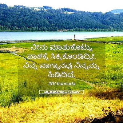 Picture 05 - ಜ್ಞಾನೋಕ್ತಿಗಳು 6:2 KANIRV - ನೀನು ಮಾತುಕೊಟ್ಟು - Bible Verse Picture