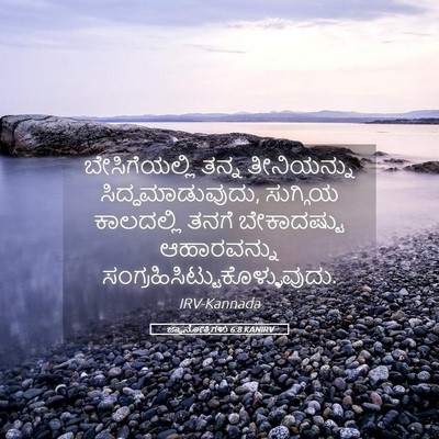 Picture 05 - ಜ್ಞಾನೋಕ್ತಿಗಳು 6:8 KANIRV - ಬೇಸಿಗೆಯಲ್ಲಿ ತನ್ನ - Bible Verse Picture