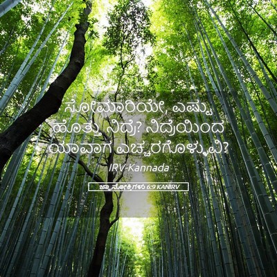 Picture 05 - ಜ್ಞಾನೋಕ್ತಿಗಳು 6:9 KANIRV - ಸೋಮಾರಿಯೇ, ಎಷ್ಟು - Bible Verse Picture