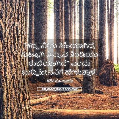 Picture 05 - ಜ್ಞಾನೋಕ್ತಿಗಳು 9:17 KANIRV - “ಕದ್ದ ನೀರು - Bible Verse Picture