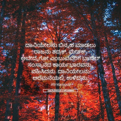 Picture 05 - ದಾನಿಯೇಲನು 2:49 KANIRV - ದಾನಿಯೇಲನು ಬಿನ್ನಹ - Bible Verse Picture