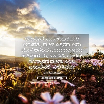 Picture 05 - ದಾನಿಯೇಲನು 3:1 KANIRV - ರಾಜನಾದ - Bible Verse Picture