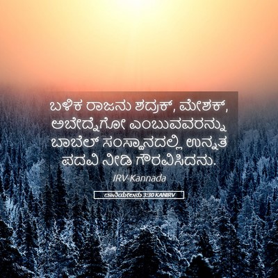 Picture 05 - ದಾನಿಯೇಲನು 3:30 KANIRV - ಬಳಿಕ ರಾಜನು ಶದ್ರಕ್, - Bible Verse Picture