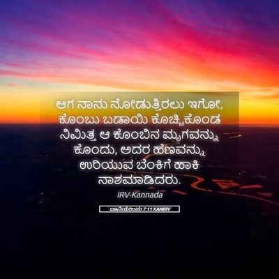 Picture 05 - ದಾನಿಯೇಲನು 7:11 KANIRV - ಆಗ ನಾನು - Bible Verse Picture