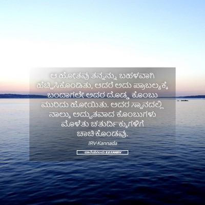 Picture 05 - ದಾನಿಯೇಲನು 8:8 KANIRV - ಆ ಹೋತವು ತನ್ನನ್ನು - Bible Verse Picture