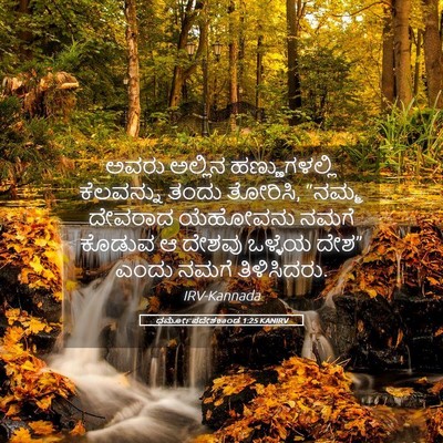 Picture 05 - ಧರ್ಮೋಪದೇಶಕಾಂಡ 1:25 KANIRV - ಅವರು ಅಲ್ಲಿನ - Bible Verse Picture