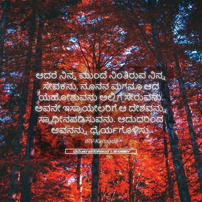 Picture 05 - ಧರ್ಮೋಪದೇಶಕಾಂಡ 1:38 KANIRV - ಆದರೆ ನಿನ್ನ ಮುಂದೆ - Bible Verse Picture