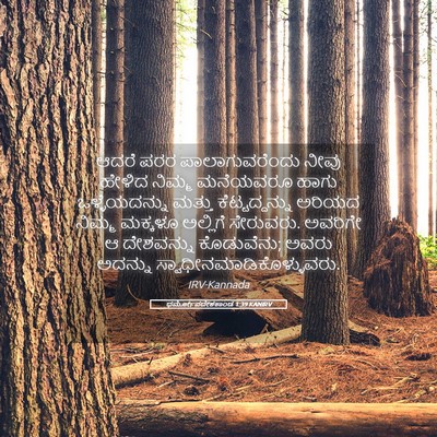 Picture 05 - ಧರ್ಮೋಪದೇಶಕಾಂಡ 1:39 KANIRV - ಆದರೆ ಪರರ - Bible Verse Picture