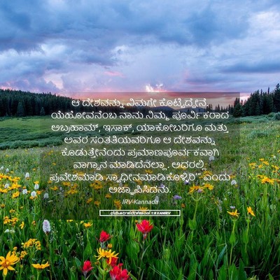 Picture 05 - ಧರ್ಮೋಪದೇಶಕಾಂಡ 1:8 KANIRV - ಆ ದೇಶವನ್ನು ನಿಮಗೇ - Bible Verse Picture