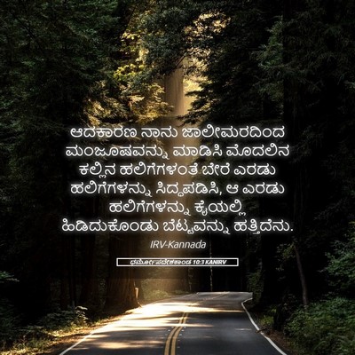 Picture 05 - ಧರ್ಮೋಪದೇಶಕಾಂಡ 10:3 KANIRV - ಆದಕಾರಣ ನಾನು - Bible Verse Picture