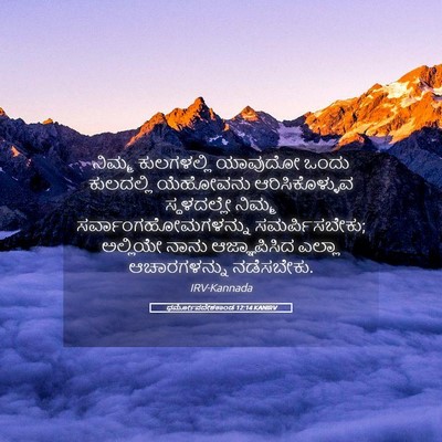 Picture 05 - ಧರ್ಮೋಪದೇಶಕಾಂಡ 12:14 KANIRV - ನಿಮ್ಮ ಕುಲಗಳಲ್ಲಿ - Bible Verse Picture