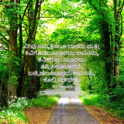 Picture 05 - ಧರ್ಮೋಪದೇಶಕಾಂಡ 13:8 KANIRV - ನೀವು ಸಮ್ಮತಿಸಲೂ - Bible Verse Picture