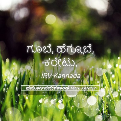 Picture 05 - ಧರ್ಮೋಪದೇಶಕಾಂಡ 14:16 KANIRV - ಗೂಬೆ, ಹೆಗ್ಗೂಬೆ, - Bible Verse Picture