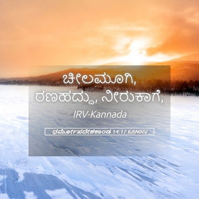 Picture 05 - ಧರ್ಮೋಪದೇಶಕಾಂಡ 14:17 KANIRV - ಚೀಲಮೂಗಿ, ರಣಹದ್ದು, - Bible Verse Picture