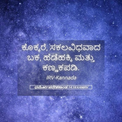 Picture 05 - ಧರ್ಮೋಪದೇಶಕಾಂಡ 14:18 KANIRV - ಕೊಕ್ಕರೆ, - Bible Verse Picture