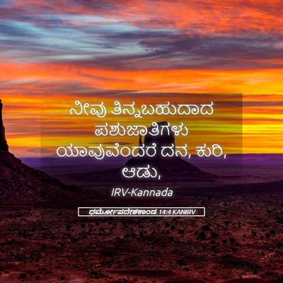 Picture 05 - ಧರ್ಮೋಪದೇಶಕಾಂಡ 14:4 KANIRV - ನೀವು ತಿನ್ನಬಹುದಾದ - Bible Verse Picture