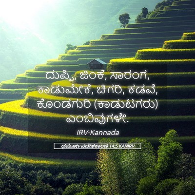 Picture 05 - ಧರ್ಮೋಪದೇಶಕಾಂಡ 14:5 KANIRV - ದುಪ್ಪಿ, ಜಿಂಕೆ, - Bible Verse Picture
