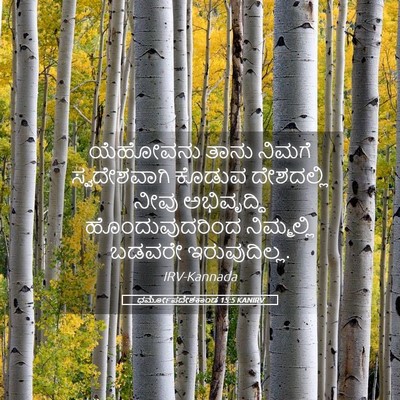 Picture 05 - ಧರ್ಮೋಪದೇಶಕಾಂಡ 15:5 KANIRV - ಯೆಹೋವನು ತಾನು - Bible Verse Picture