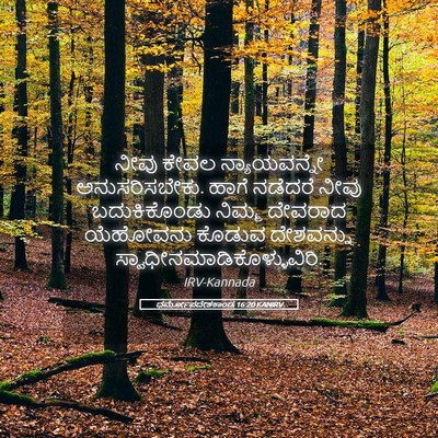 Picture 05 - ಧರ್ಮೋಪದೇಶಕಾಂಡ 16:20 KANIRV - ನೀವು ಕೇವಲ - Bible Verse Picture