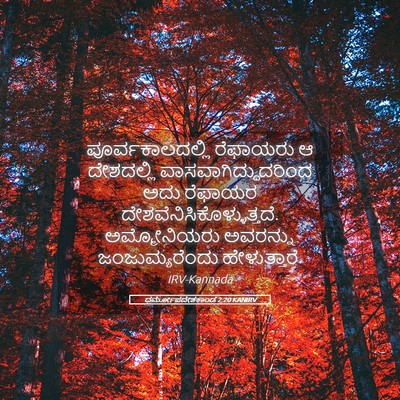 Picture 05 - ಧರ್ಮೋಪದೇಶಕಾಂಡ 2:20 KANIRV - ಪೂರ್ವಕಾಲದಲ್ಲಿ - Bible Verse Picture