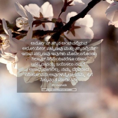 Picture 05 - ಧರ್ಮೋಪದೇಶಕಾಂಡ 2:36 KANIRV - ಅರ್ನೋನ್ ತಗ್ಗಿನ - Bible Verse Picture