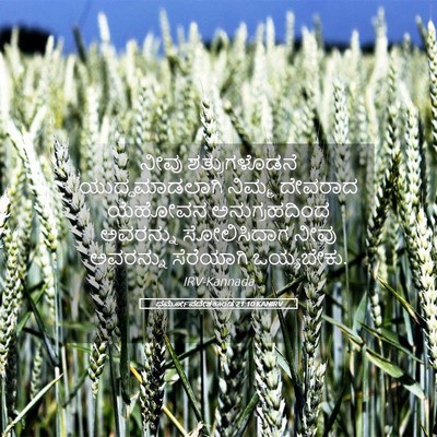 Picture 05 - ಧರ್ಮೋಪದೇಶಕಾಂಡ 21:10 KANIRV - ನೀವು ಶತ್ರುಗಳೊಡನೆ - Bible Verse Picture