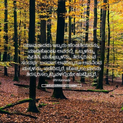 Picture 05 - ಧರ್ಮೋಪದೇಶಕಾಂಡ 21:15 KANIRV - ಯಾವನಾದರು ಇಬ್ಬರು - Bible Verse Picture