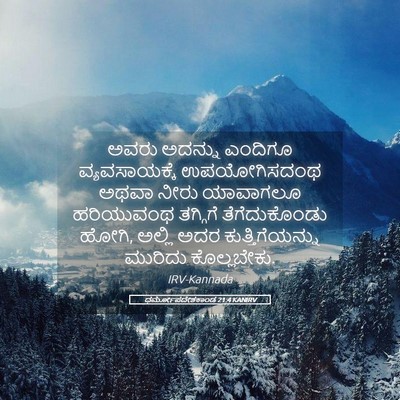 Picture 05 - ಧರ್ಮೋಪದೇಶಕಾಂಡ 21:4 KANIRV - ಅವರು ಅದನ್ನು - Bible Verse Picture