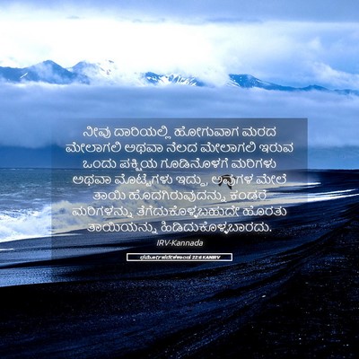 Picture 05 - ಧರ್ಮೋಪದೇಶಕಾಂಡ 22:6 KANIRV - ನೀವು ದಾರಿಯಲ್ಲಿ - Bible Verse Picture