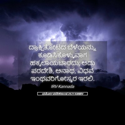 Picture 05 - ಧರ್ಮೋಪದೇಶಕಾಂಡ 24:21 KANIRV - ದ್ರಾಕ್ಷಿತೋಟದ - Bible Verse Picture