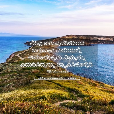 Picture 05 - ಧರ್ಮೋಪದೇಶಕಾಂಡ 25:17 KANIRV - ನೀವು - Bible Verse Picture