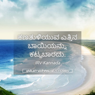 Picture 05 - ಧರ್ಮೋಪದೇಶಕಾಂಡ 25:4 KANIRV - ಕಣತುಳಿಯುವ ಎತ್ತಿನ - Bible Verse Picture