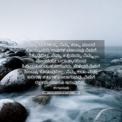 Picture 05 - ಧರ್ಮೋಪದೇಶಕಾಂಡ 28:31 KANIRV - ನಿಮ್ಮ ದನಗಳನ್ನು - Bible Verse Picture