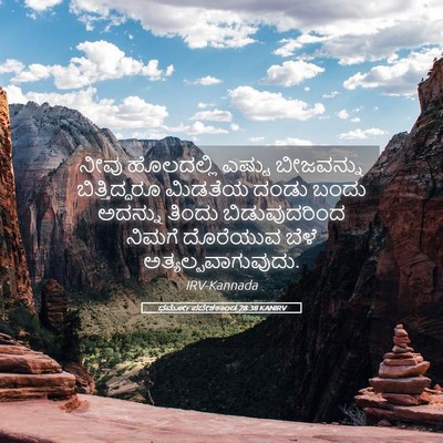 Picture 05 - ಧರ್ಮೋಪದೇಶಕಾಂಡ 28:38 KANIRV - ನೀವು ಹೊಲದಲ್ಲಿ - Bible Verse Picture