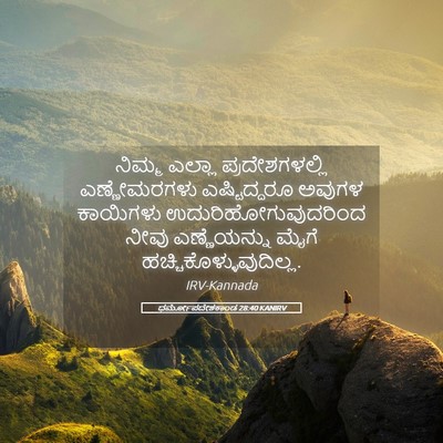 Picture 05 - ಧರ್ಮೋಪದೇಶಕಾಂಡ 28:40 KANIRV - ನಿಮ್ಮ ಎಲ್ಲಾ - Bible Verse Picture
