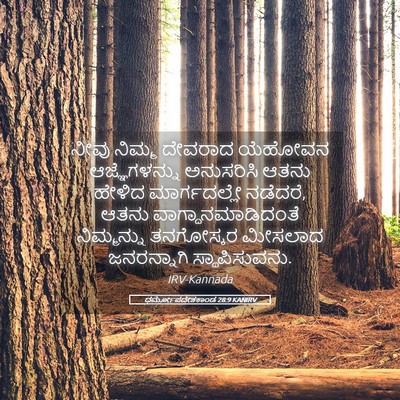 Picture 05 - ಧರ್ಮೋಪದೇಶಕಾಂಡ 28:9 KANIRV - ನೀವು ನಿಮ್ಮ ದೇವರಾದ - Bible Verse Picture