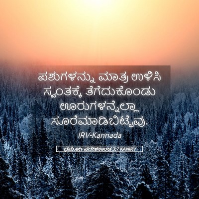 Picture 05 - ಧರ್ಮೋಪದೇಶಕಾಂಡ 3:7 KANIRV - ಪಶುಗಳನ್ನು ಮಾತ್ರ - Bible Verse Picture