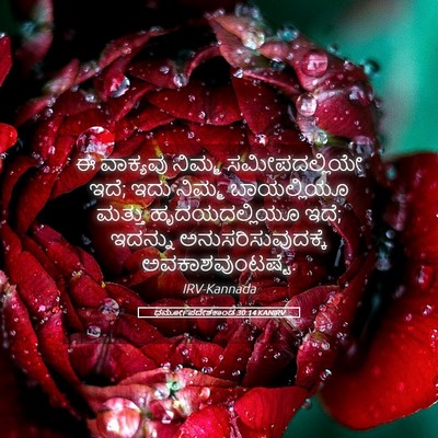 Picture 05 - ಧರ್ಮೋಪದೇಶಕಾಂಡ 30:14 KANIRV - ಈ ವಾಕ್ಯವು ನಿಮ್ಮ - Bible Verse Picture