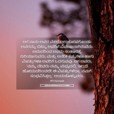 Picture 05 - ಧರ್ಮೋಪದೇಶಕಾಂಡ 31:17 KANIRV - ಆಗ ನಾನು ಅವರ ಮೇಲೆ - Bible Verse Picture