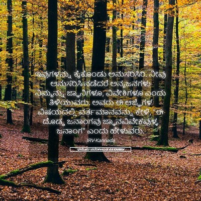 Picture 05 - ಧರ್ಮೋಪದೇಶಕಾಂಡ 4:6 KANIRV - ಇವುಗಳನ್ನು ಕೈಕೊಂಡು - Bible Verse Picture