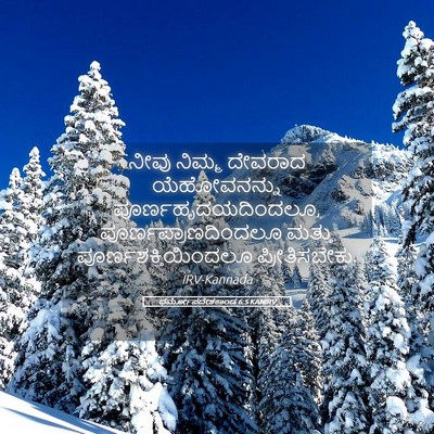 Picture 05 - ಧರ್ಮೋಪದೇಶಕಾಂಡ 6:5 KANIRV - ನೀವು ನಿಮ್ಮ ದೇವರಾದ - Bible Verse Picture