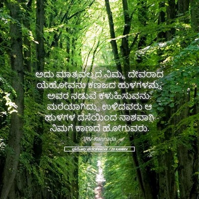 Picture 05 - ಧರ್ಮೋಪದೇಶಕಾಂಡ 7:20 KANIRV - ಅದು ಮಾತ್ರವಲ್ಲದೆ - Bible Verse Picture