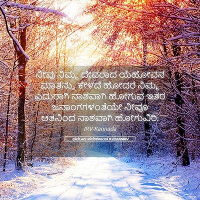 Picture 05 - ಧರ್ಮೋಪದೇಶಕಾಂಡ 8:20 KANIRV - ನೀವು ನಿಮ್ಮ ದೇವರಾದ - Bible Verse Picture