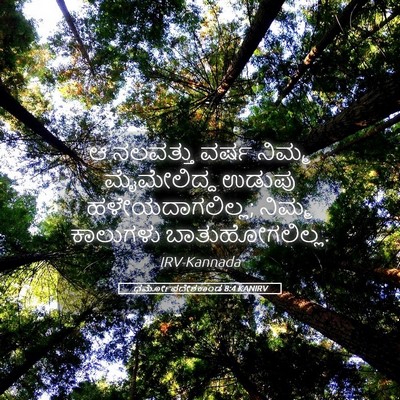 Picture 05 - ಧರ್ಮೋಪದೇಶಕಾಂಡ 8:4 KANIRV - ಆ ನಲವತ್ತು ವರ್ಷ - Bible Verse Picture
