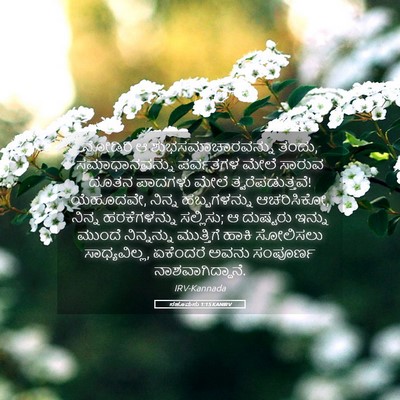 Picture 05 - ನಹೂಮನು 1:15 KANIRV - ನೋಡಿರಿ ಆ - Bible Verse Picture